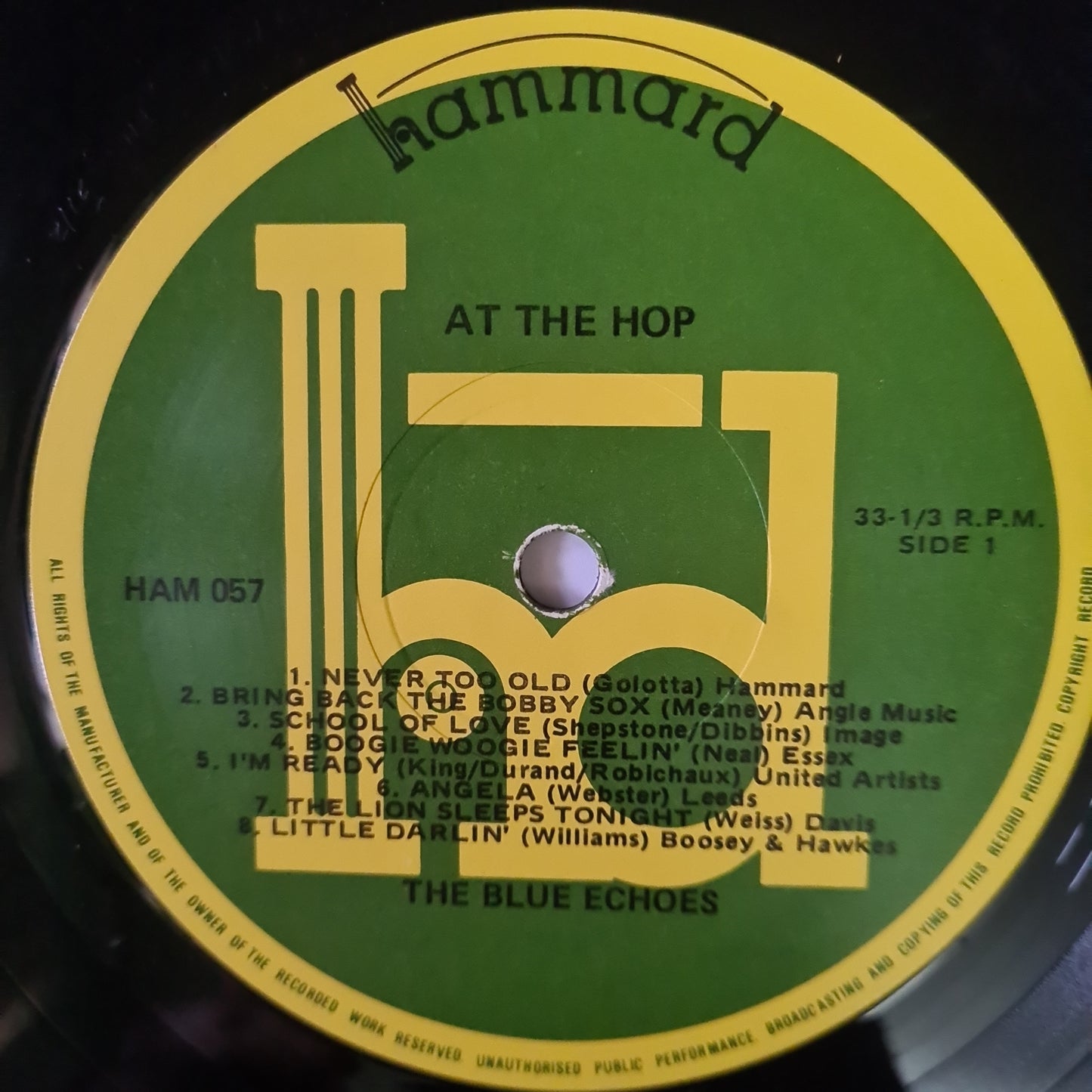 The Blue Echoes – At The Hop - 1981 - Vinyl Record