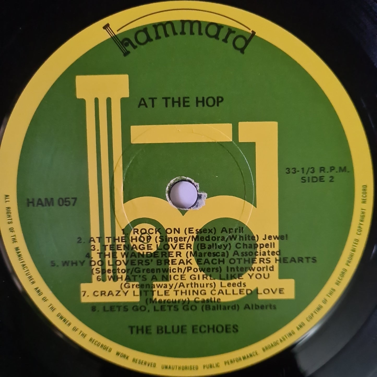 The Blue Echoes – At The Hop - 1981 - Vinyl Record