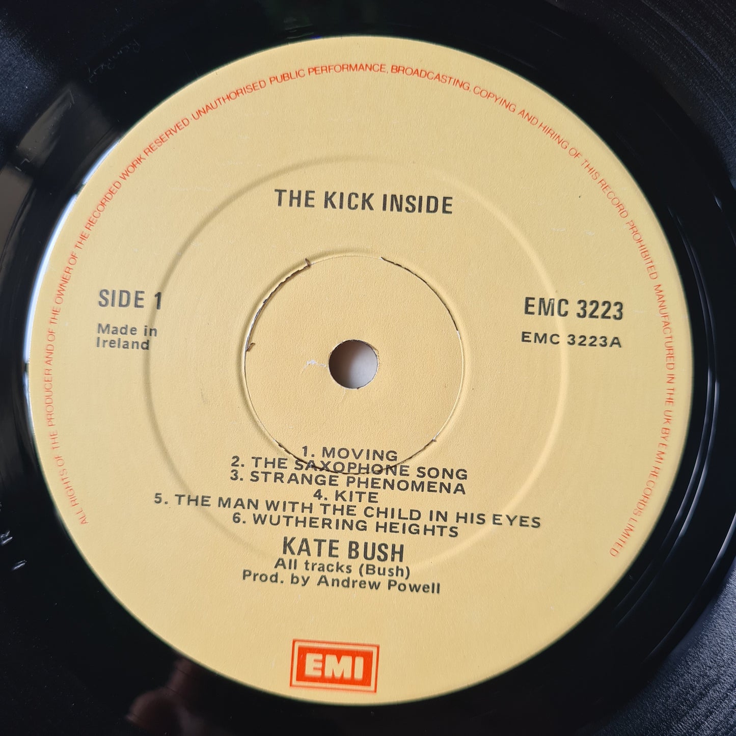 Kate Bush – Kick Inside - 1978 (Irish Pressing) - Vinyl Record LP (near mint)