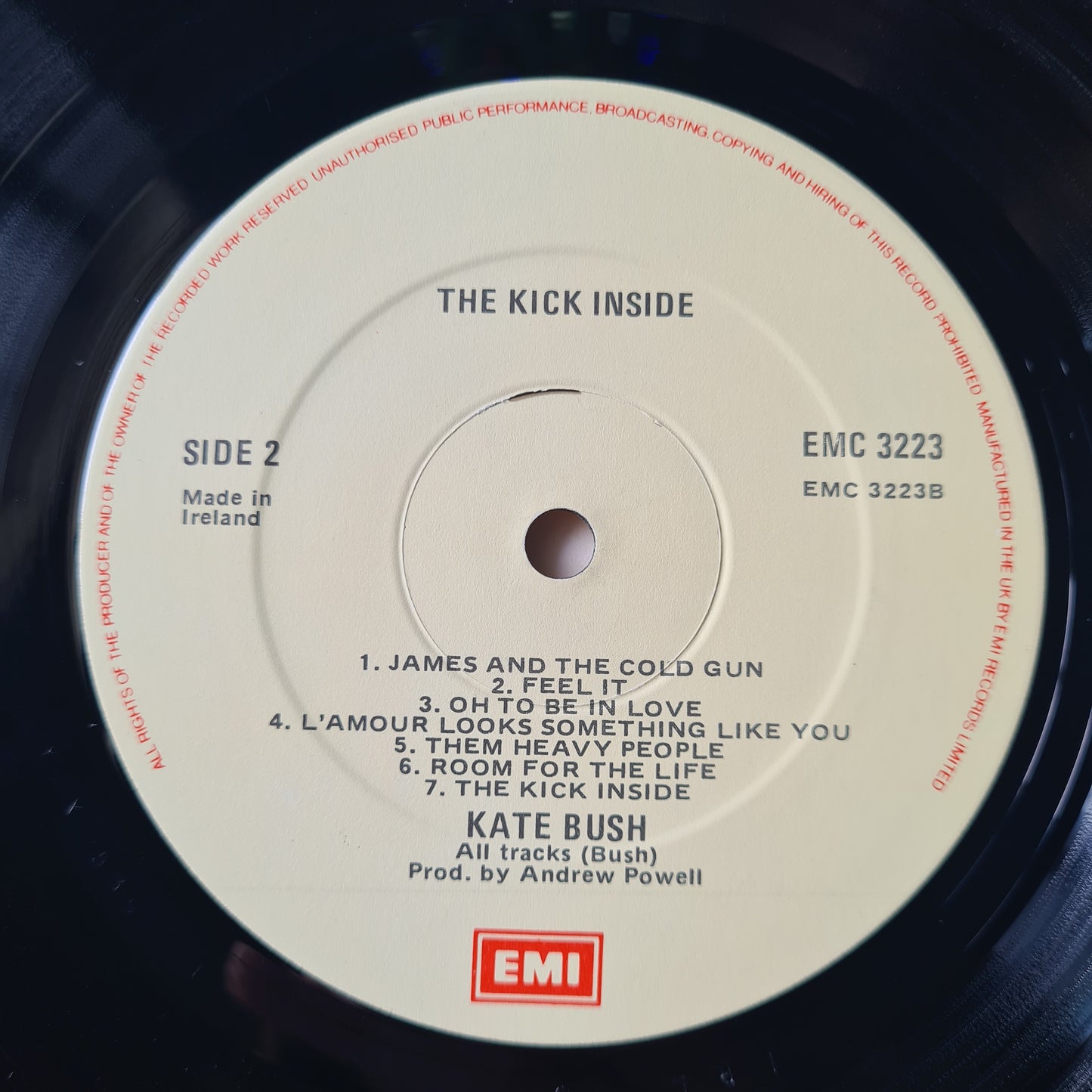Kate Bush – Kick Inside - 1978 (Irish Pressing) - Vinyl Record LP (near mint)