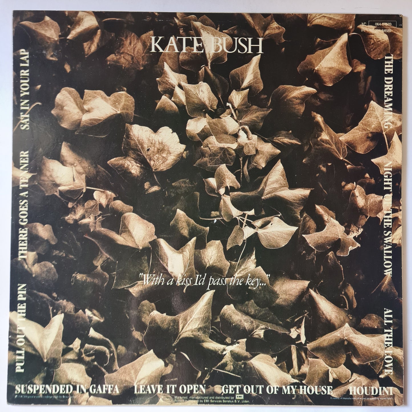Kate Bush – The Dreaming - 1982 (European Pressing) - Vinyl Record LP