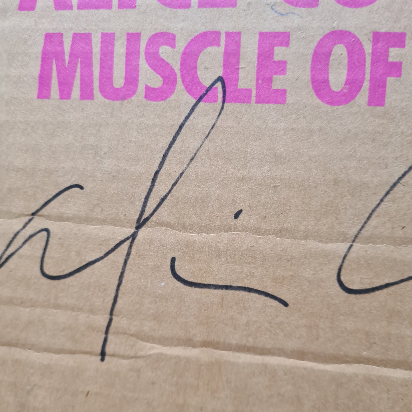 *SIGNED* Alice Cooper – Muscle Of Love (with Cardboard box) - 1973 - Vinyl Record LP