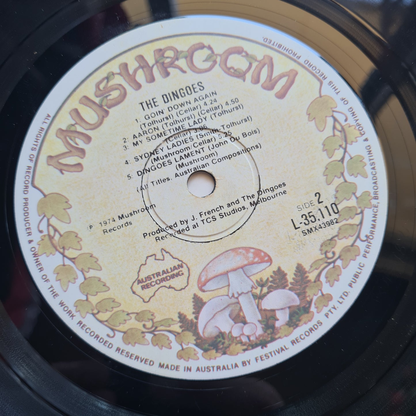 The Dingoes – The Dingoes - 1974 (2nd Pressing) - Vinyl Record LP