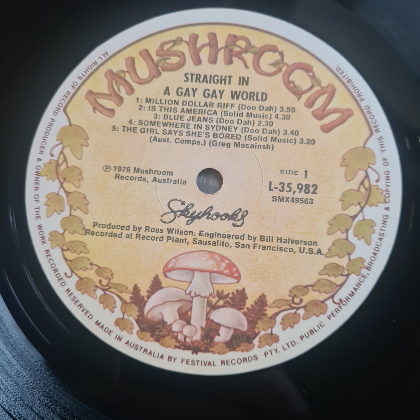 Skyhooks – Straight In A Gay Gay World - 1976 - Vinyl Record LP