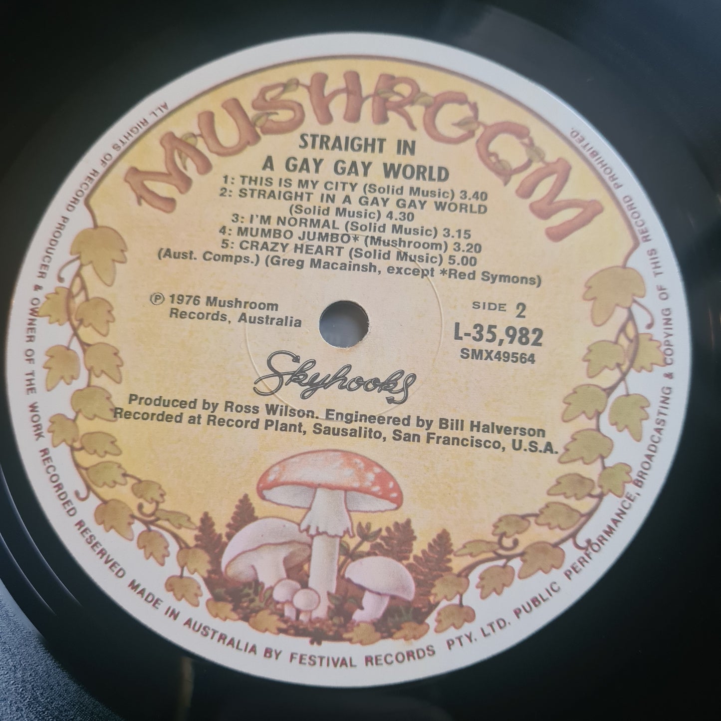 Skyhooks – Straight In A Gay Gay World - 1976 - Vinyl Record LP