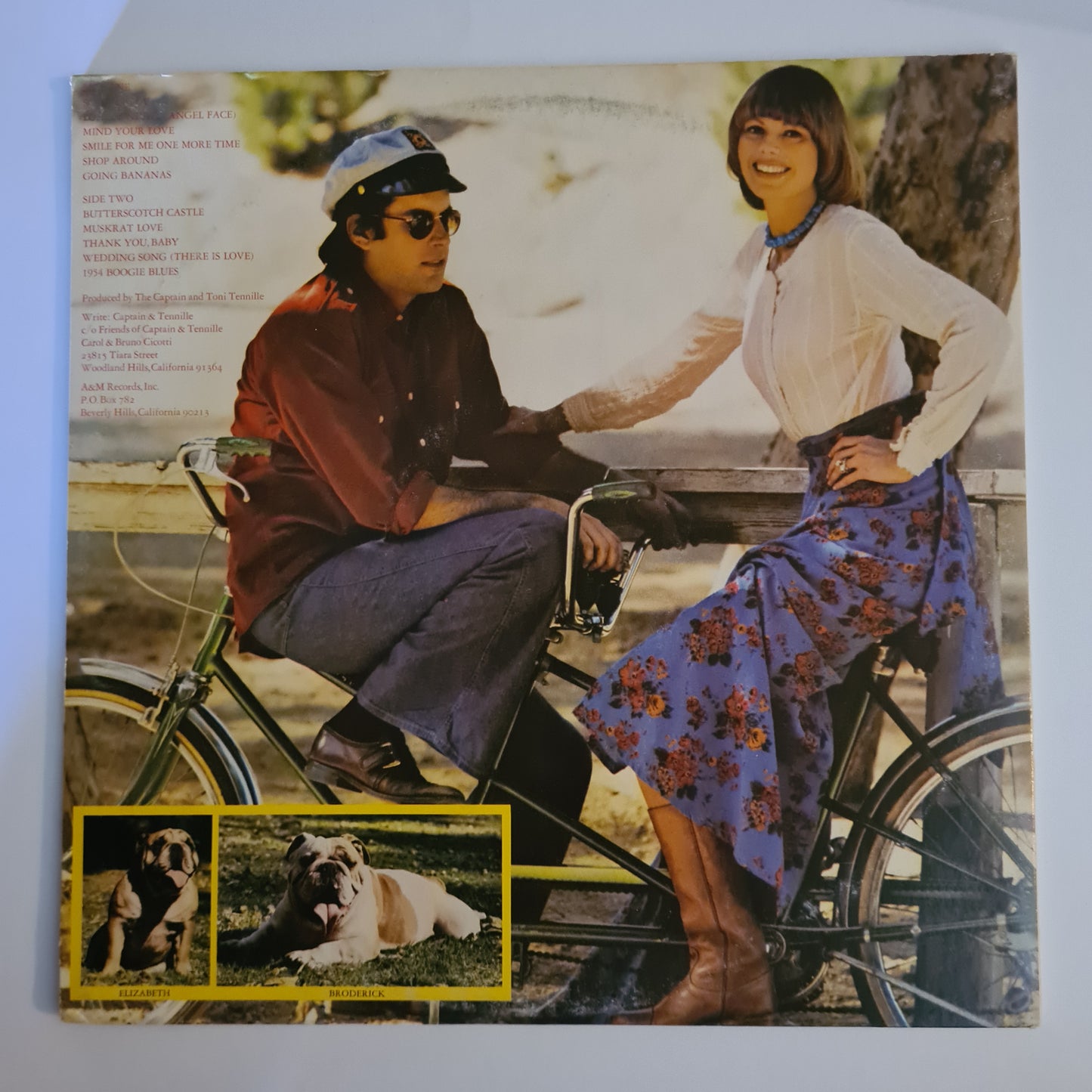 CLEARANCE STOCK! - CAPTAIN & TENILLE - VINYL RECORD