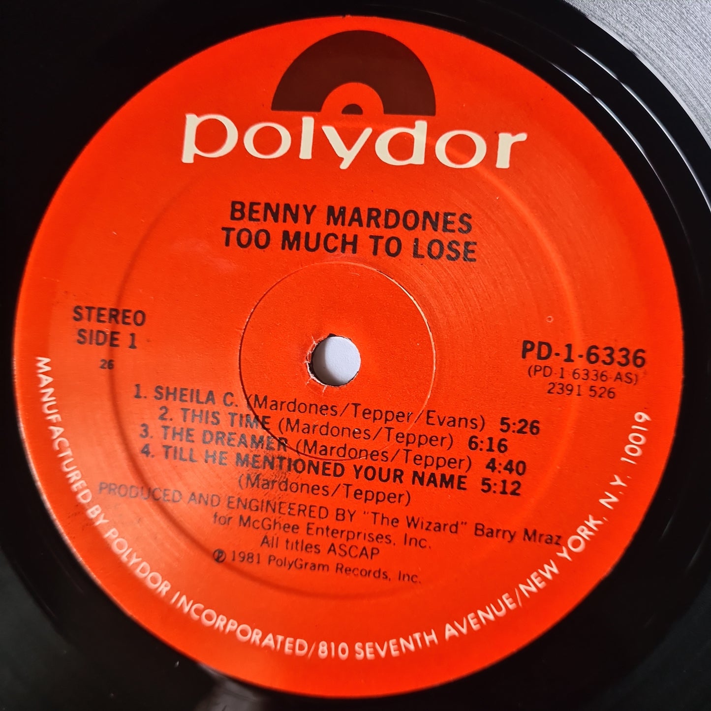 Benny Mardones – Too Much To Lose - 1981 - Vinyl Record