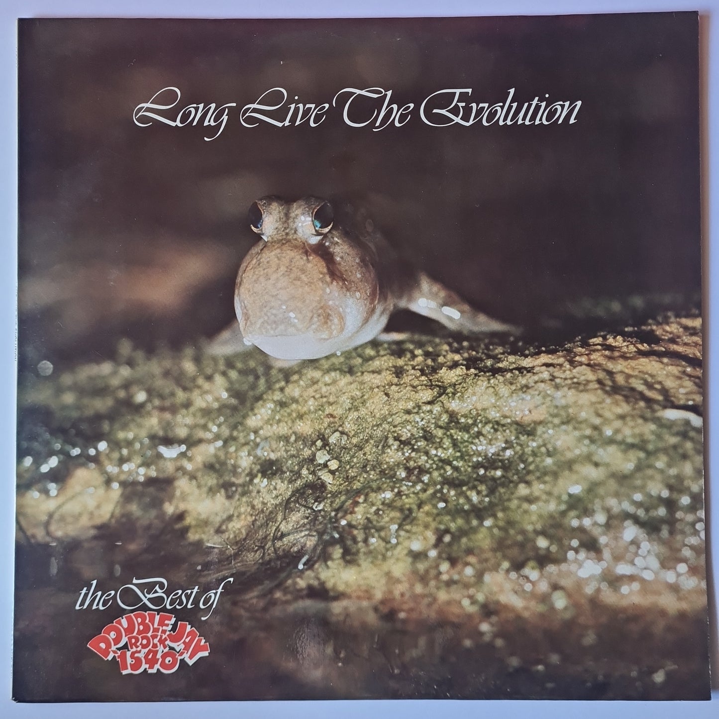 Various: Skyhooks, Dragon, AC/DC, Radio Birdman, Finch, etc – Long Live The Evolution: The Best Of Double Jay Rock 1540 - 1977 - Vinyl Record - Vinyl Record