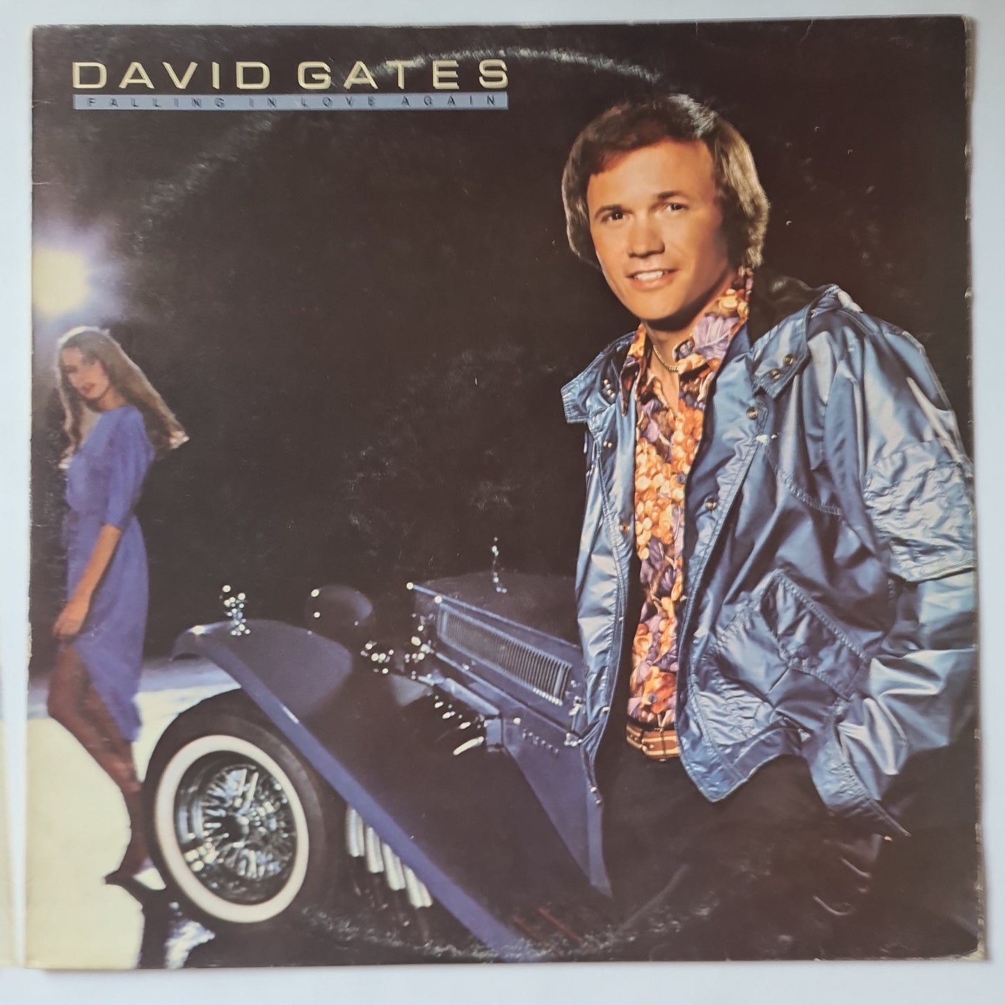 David Gates – Falling In Love Again - 1980 - Vinyl Record