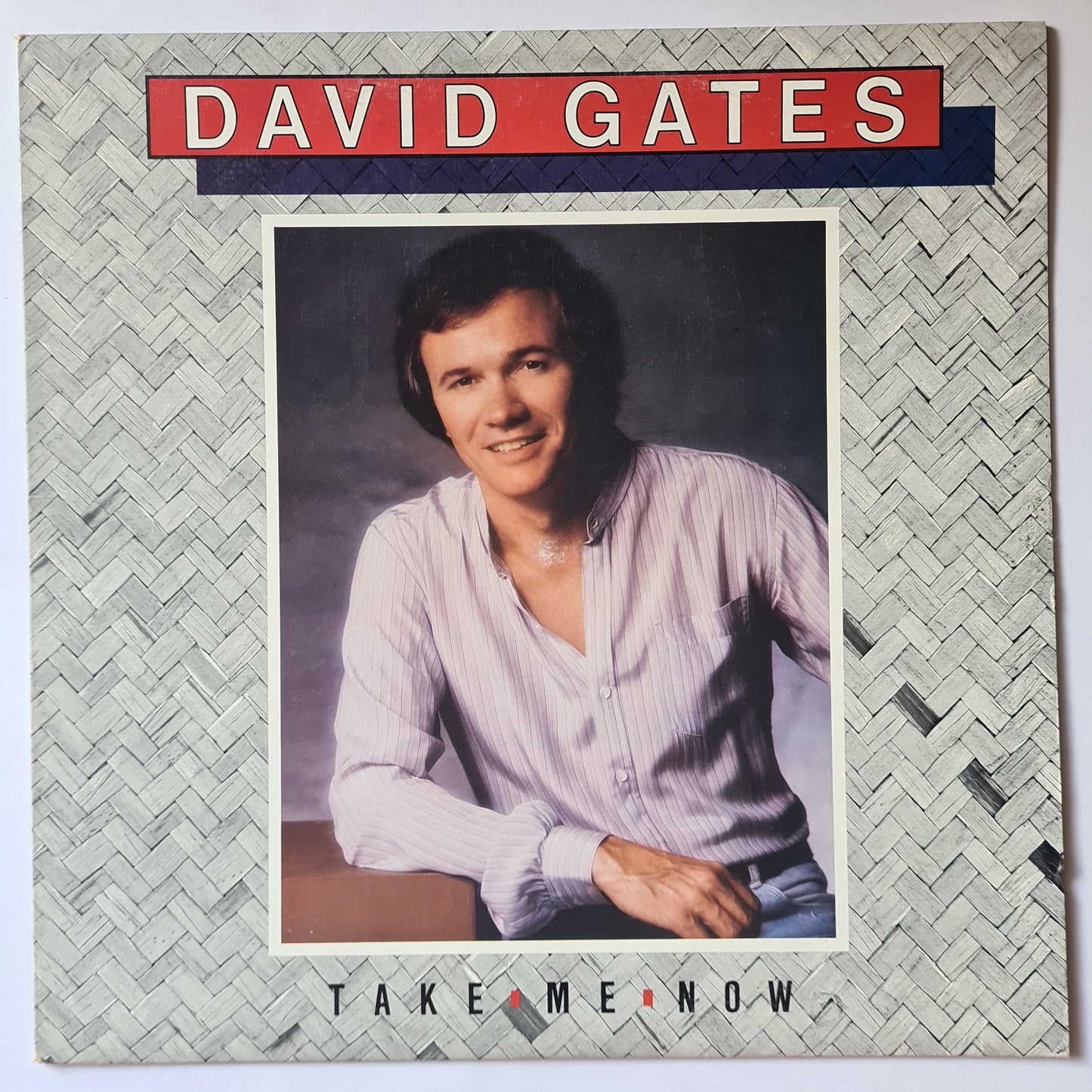 David Gates – Take Me Now - 1981 - Vinyl Record