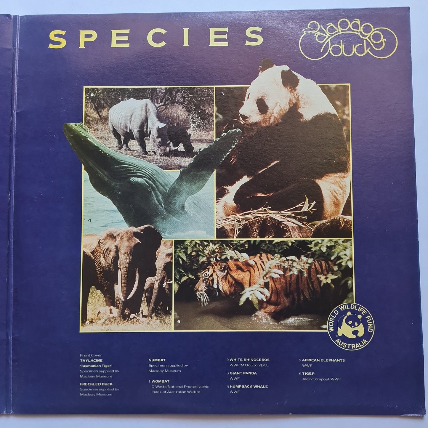 Galapagos Duck – Endangered Species - 1985 - Vinyl Record (Gatefold)