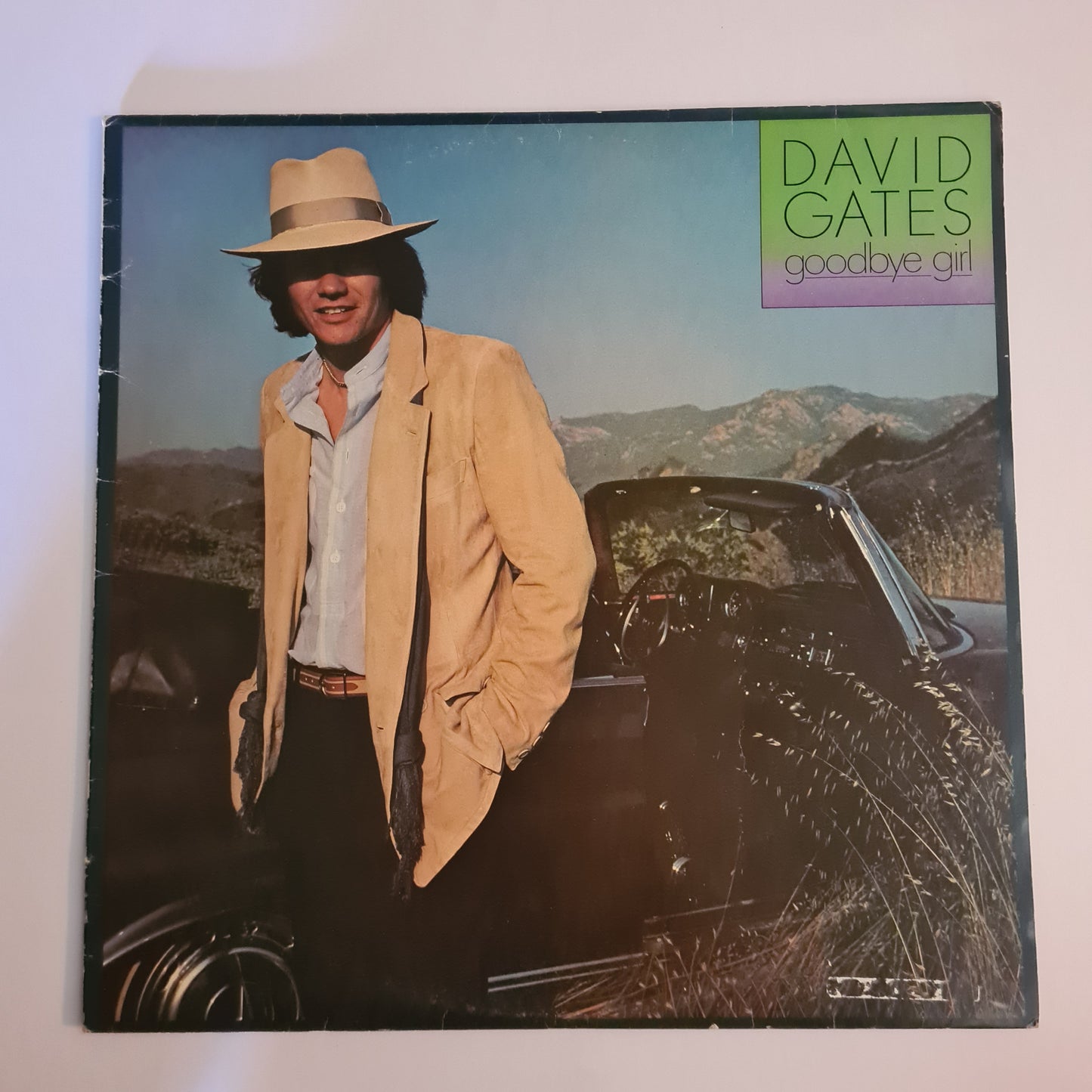 David Gates - Goodbye Girl - 1978 - Vinyl Record