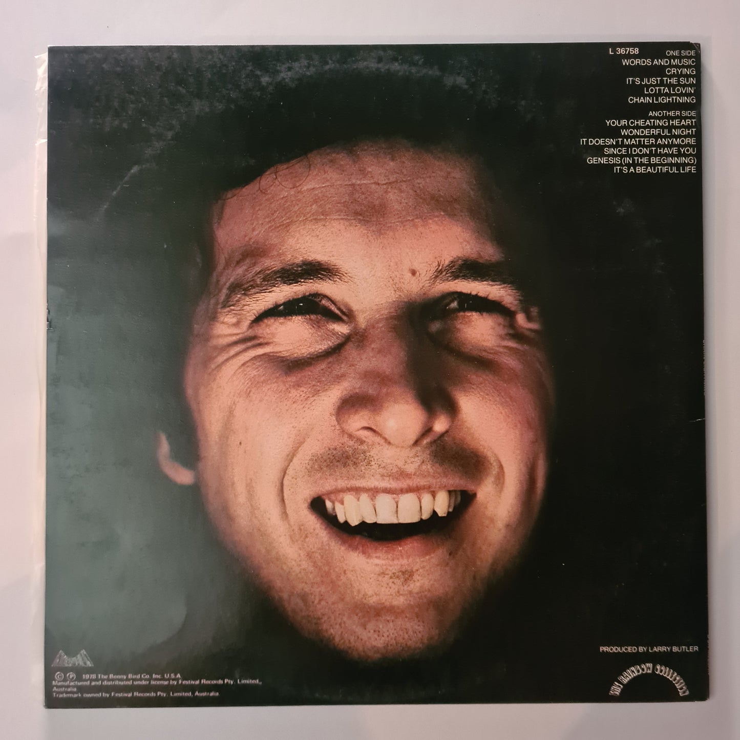 Don McLean - Chain Lightning - 1979 - Vinyl record