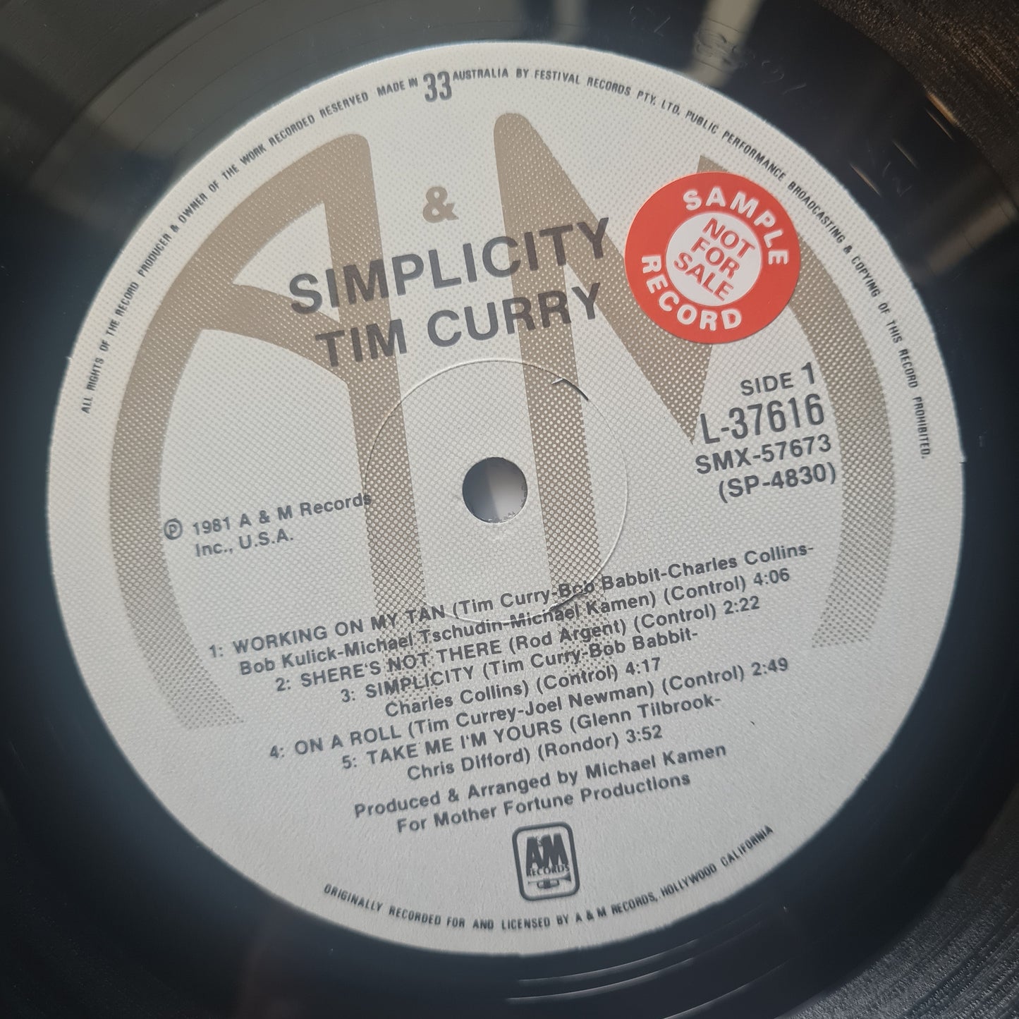 Tim Curry – Simplicity - 1981 - Vinyl Record LP