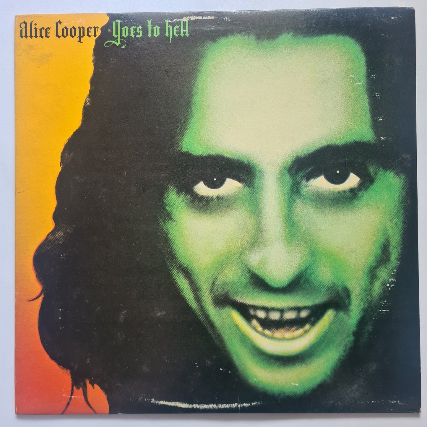 Alice Cooper – Goes To Hell - 1976 (USA Pressing) - Vinyl Record LP