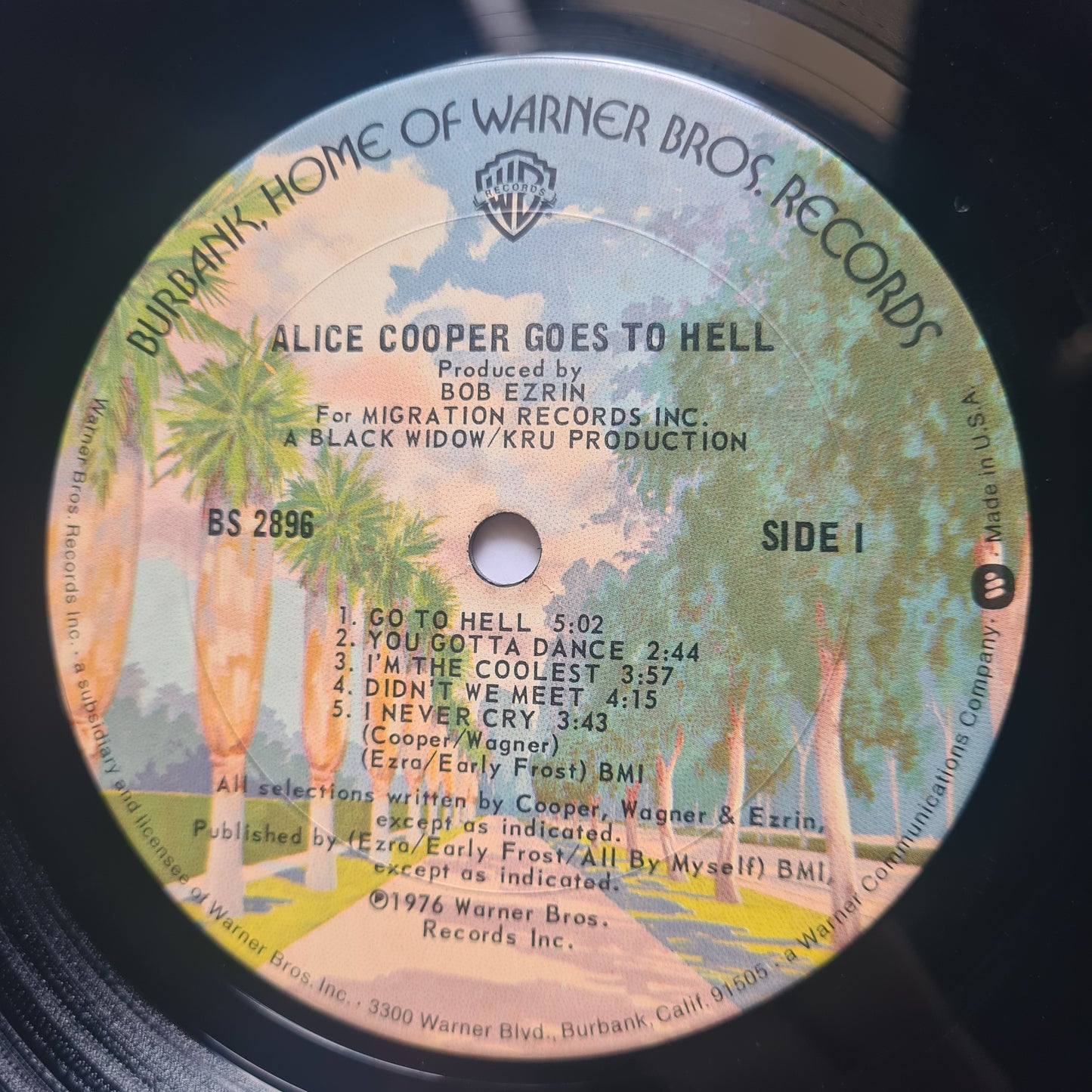 Alice Cooper – Goes To Hell - 1976 (USA Pressing) - Vinyl Record LP