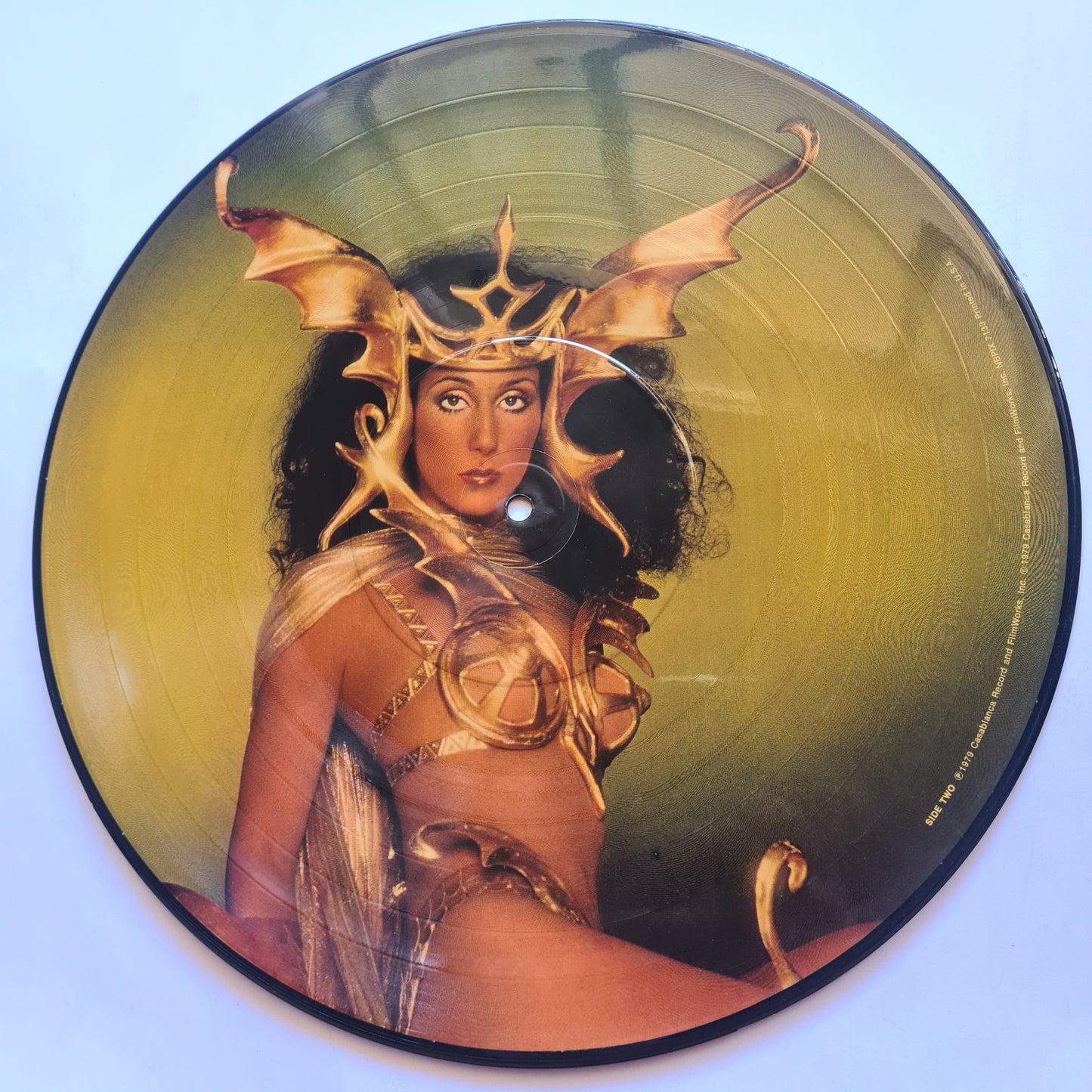 Cher – Take Me Home - 1979 - Vinyl Record LP PICTURE DISC