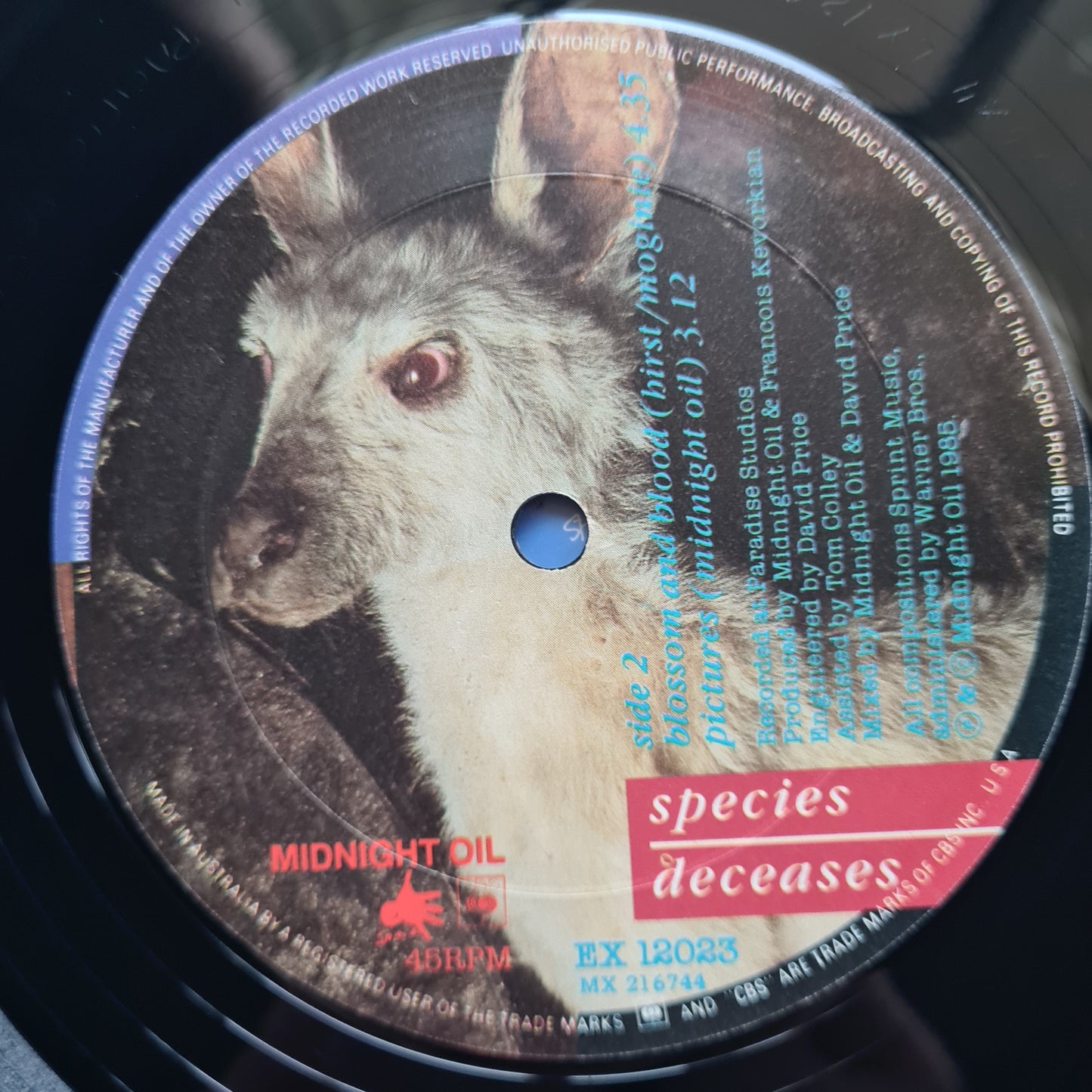 Midnight Oil – Species Deceases - 1985 - Vinyl Record EP (Near Mint)