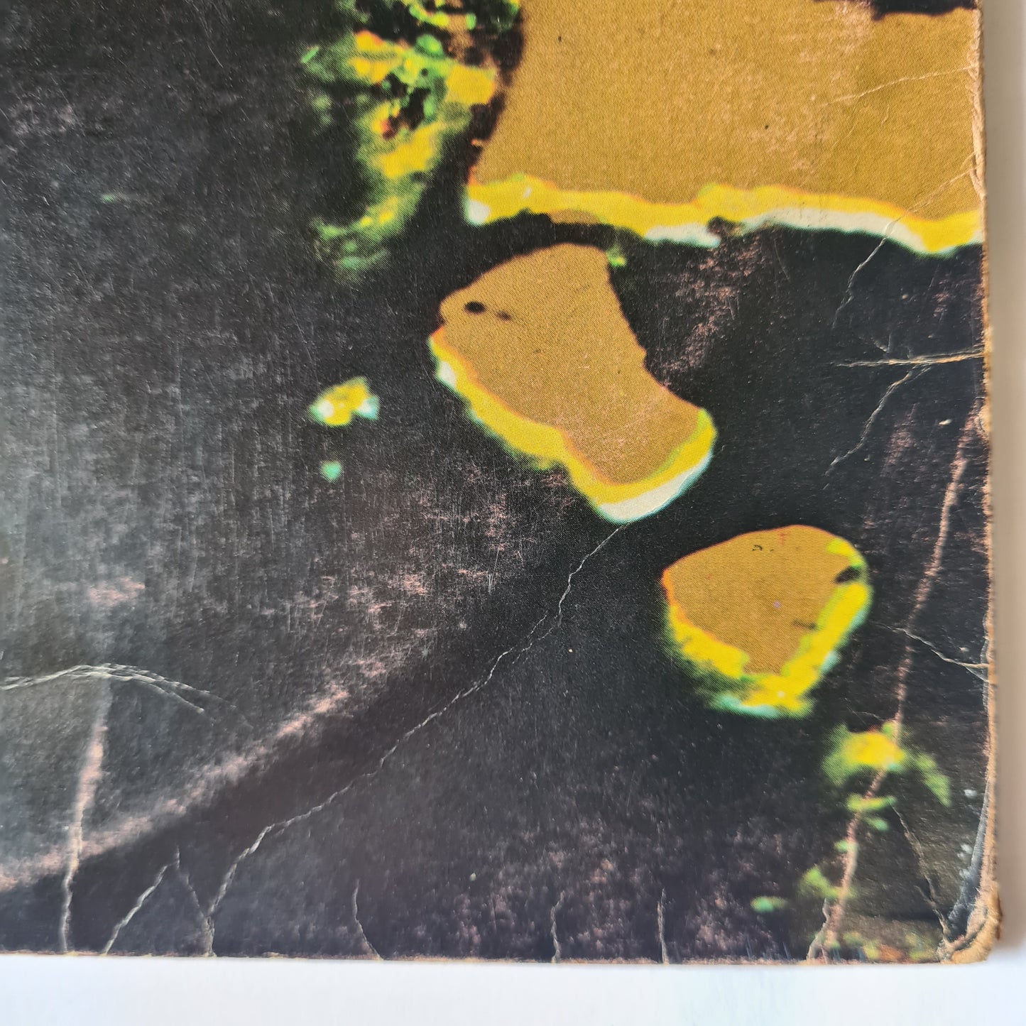 Buffalo – Dead Forever - 1972 (First Pressing, vertigo swirl label - Vinyl Record