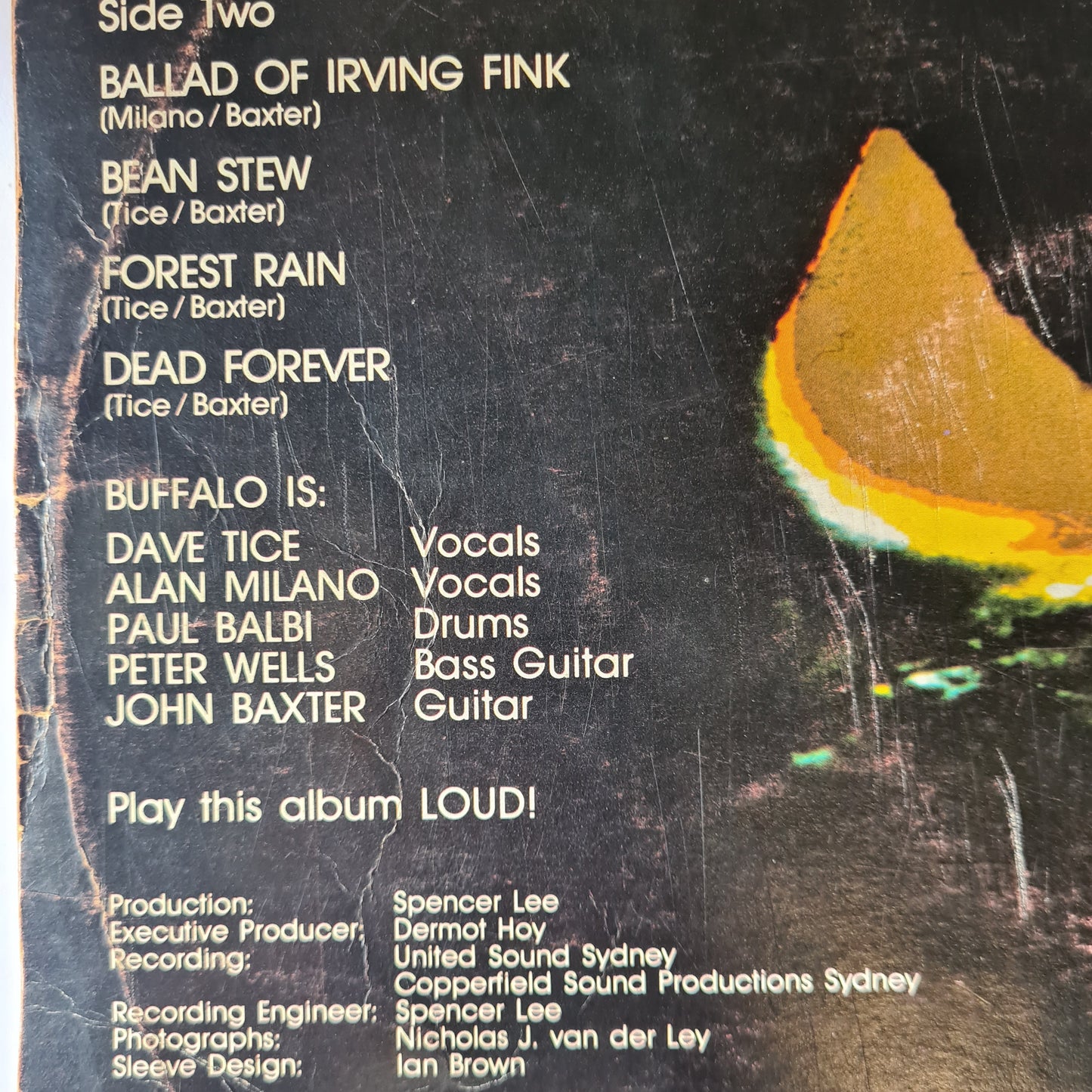 Buffalo – Dead Forever - 1972 (First Pressing, vertigo swirl label - Vinyl Record
