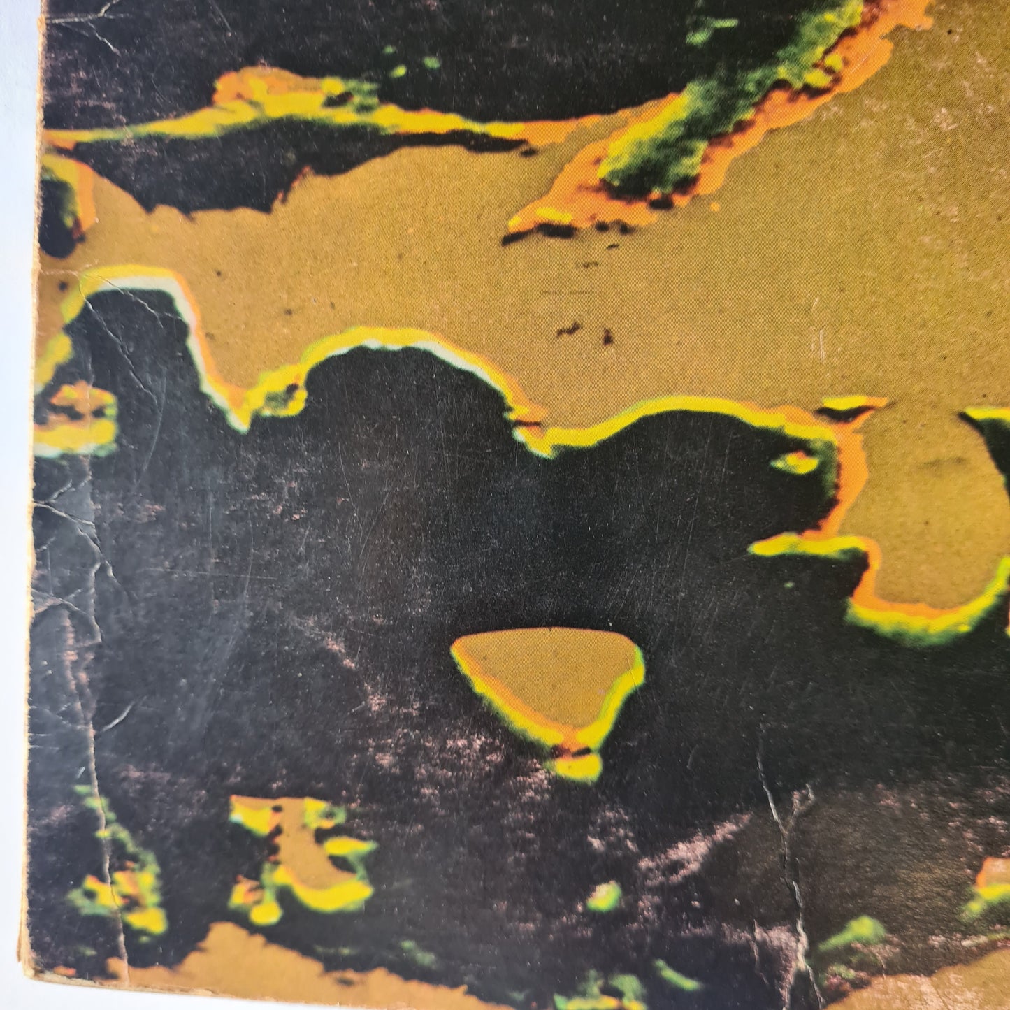 Buffalo – Dead Forever - 1972 (First Pressing, vertigo swirl label - Vinyl Record