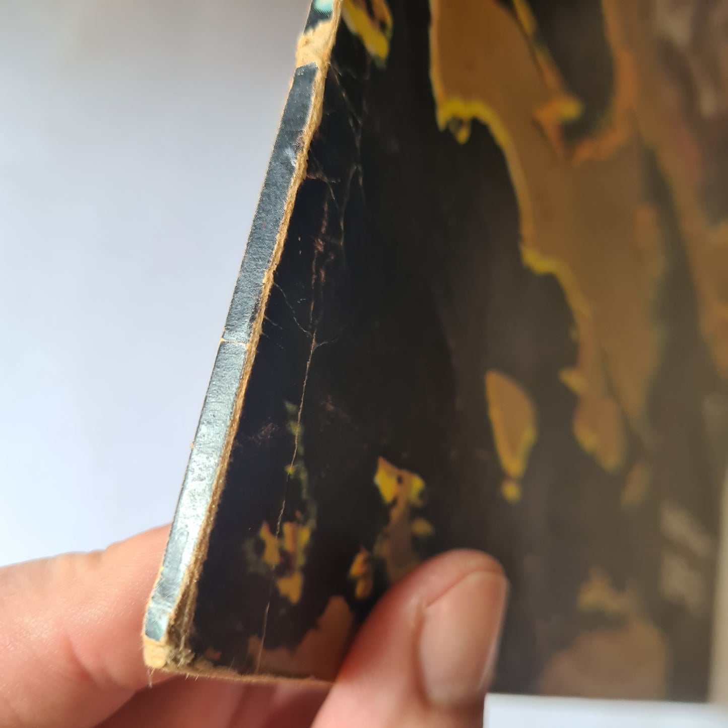 Buffalo – Dead Forever - 1972 (First Pressing, vertigo swirl label - Vinyl Record