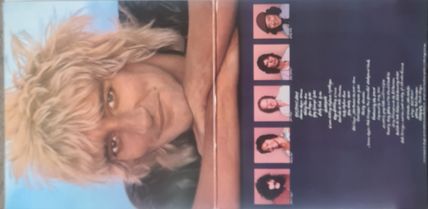 Rod Stewart – Blondes Have More Fun- 1978 (Gatefold) - Vinyl Record LP