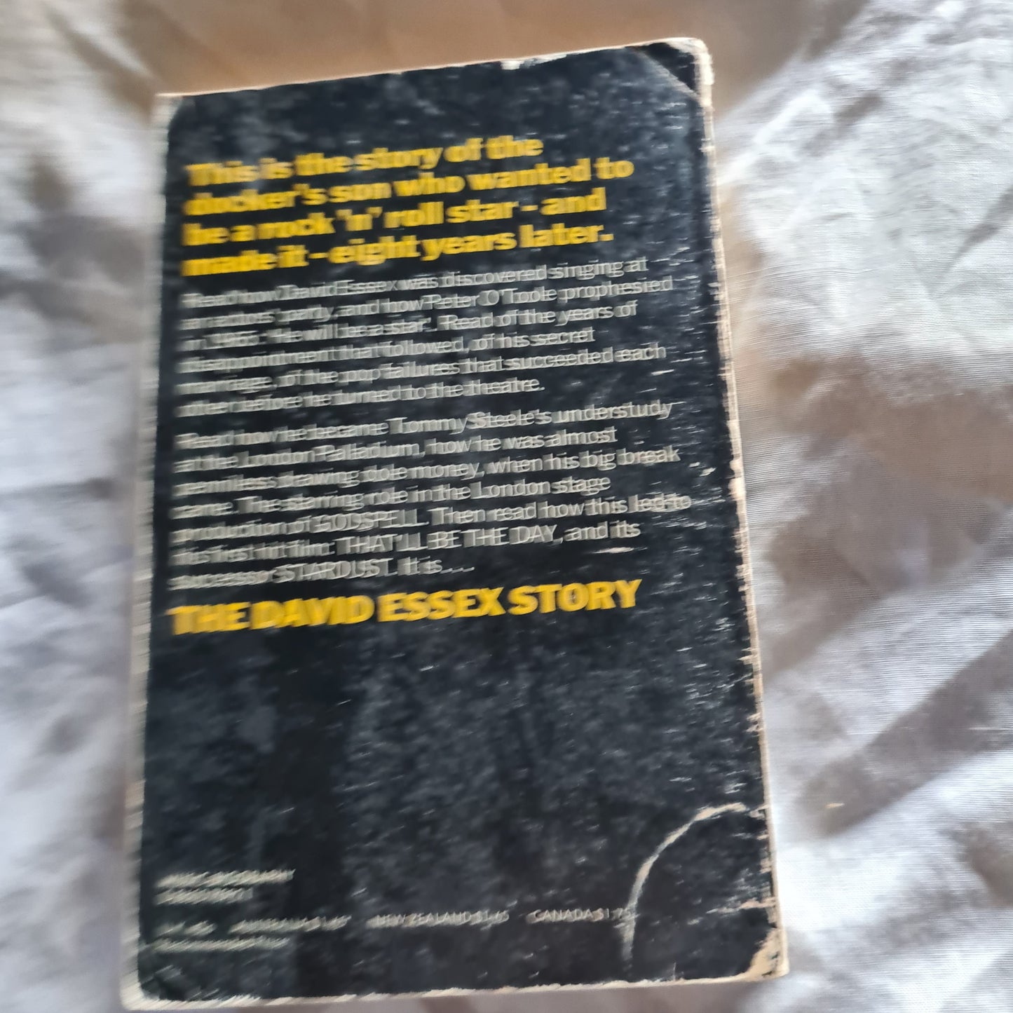 David Essex- The David Essex Story - Paperback Book