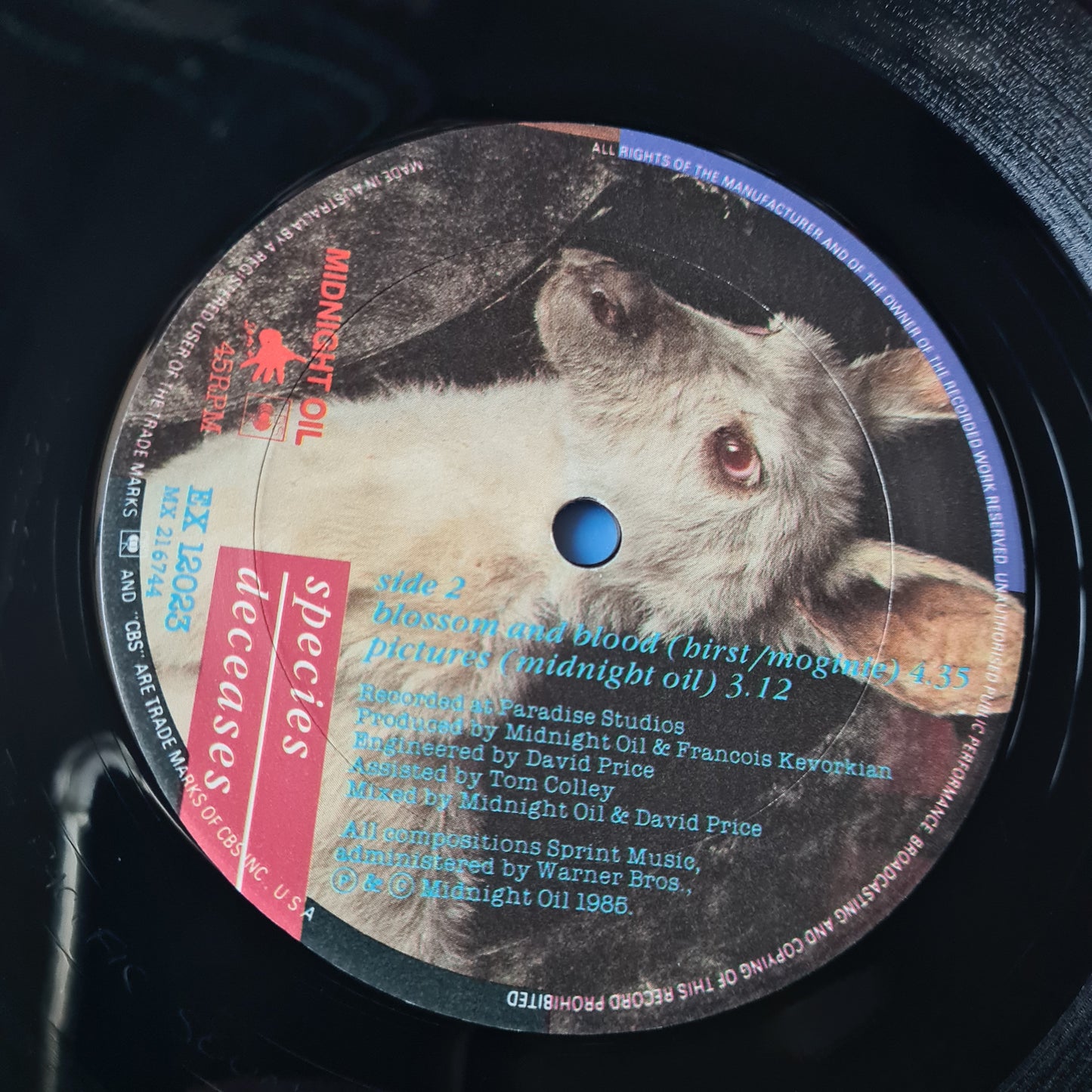 Midnight Oil – Species Deceases - 1985 - Vinyl Record EP