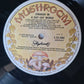 Skyhooks – Straight In A Gay Gay World (with Poster) - 1976 - Vinyl Record LP (near mint)