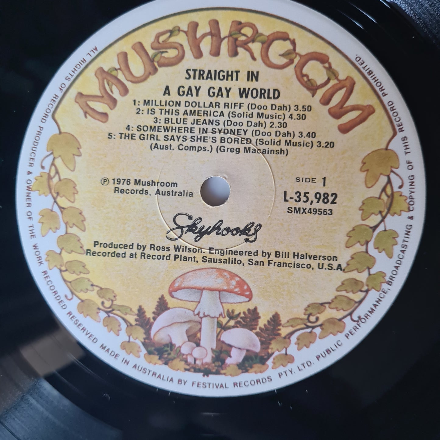Skyhooks – Straight In A Gay Gay World (with Poster) - 1976 - Vinyl Record LP (near mint)