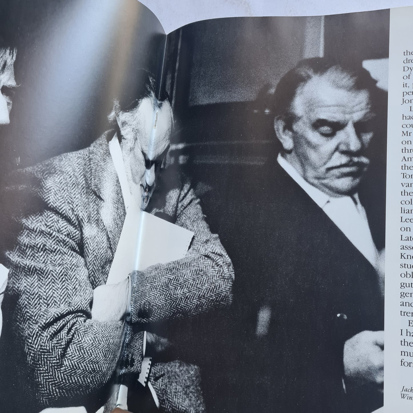 Dylan Thomas (Mark Knopfler, Bonnie Tyler, Tom Jones, George Martin)  – Under Milk Wood (A Play For Voices) - 1988 - Vinyl Record 2LP (NM)