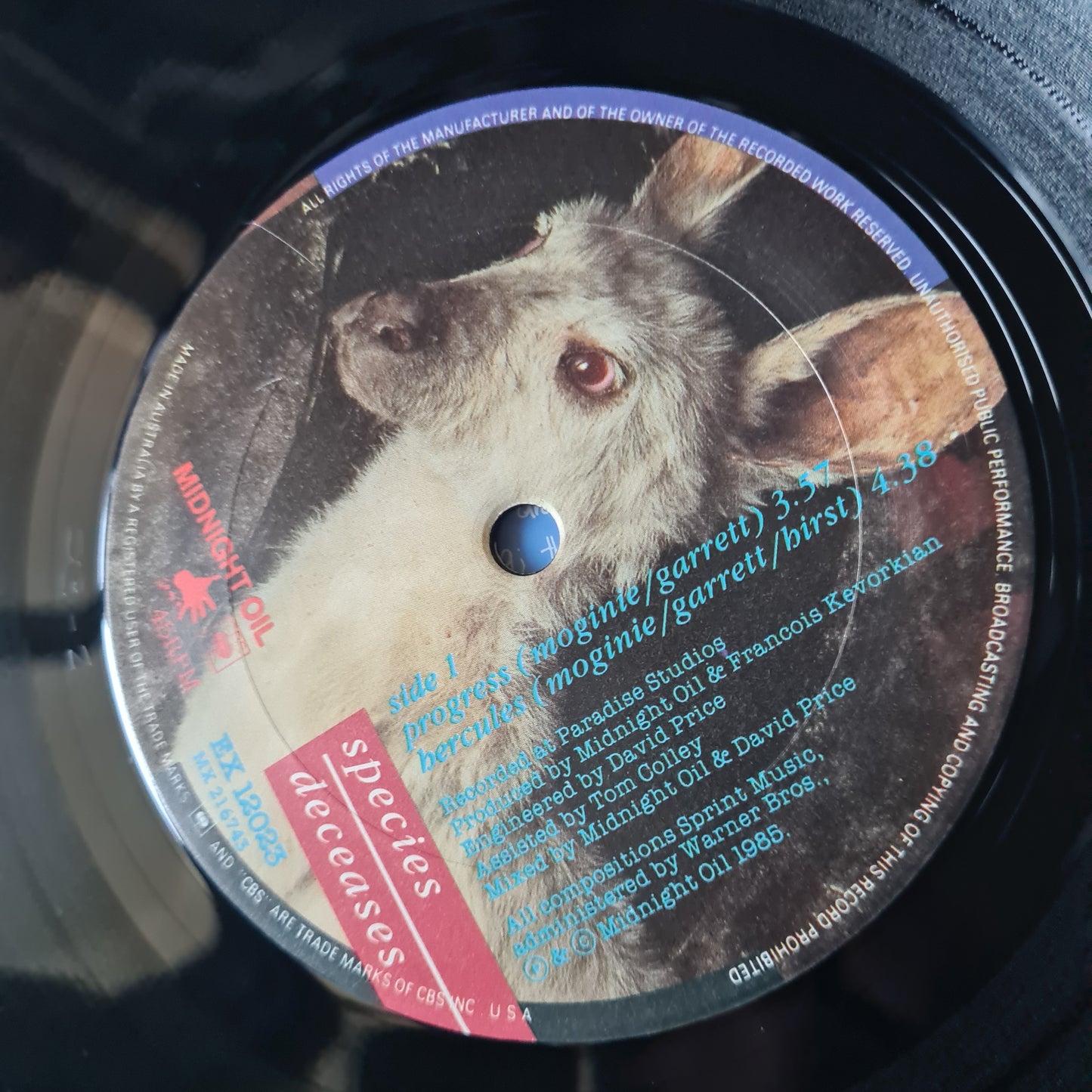 Midnight Oil – Species Deceases - 1985 - Vinyl Record EP