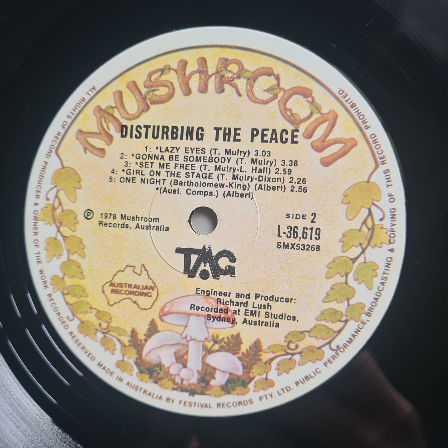 Ted Mulry Gang (T.M.G)– Disturbing The Peace - 1978 - Vinyl Record LP