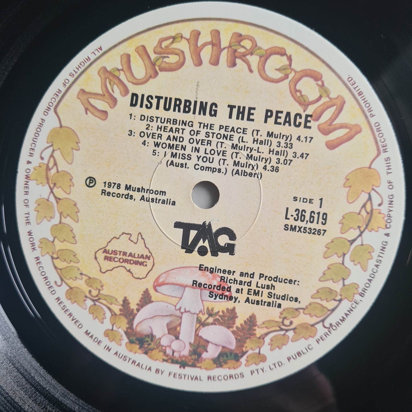 Ted Mulry Gang (T.M.G)– Disturbing The Peace - 1978 - Vinyl Record LP