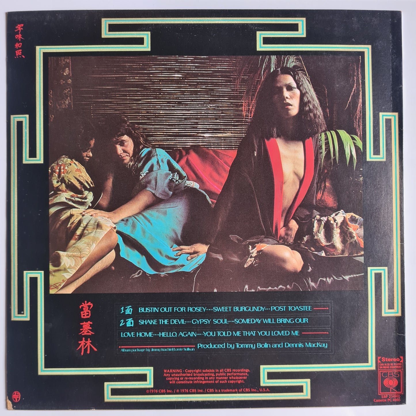 Tommy Bolin (Deep Purple) – Private Eyes - 1976 - Vinyl Record LP