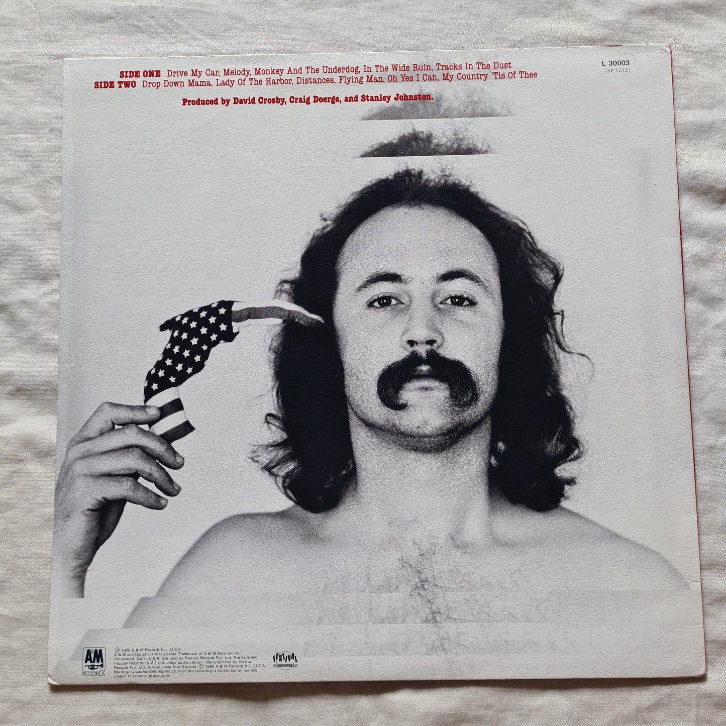 David Crosby – Oh Yes I Can - 1989 - Vinyl Record