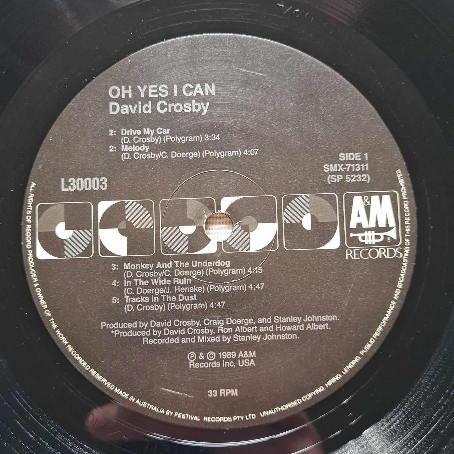 David Crosby – Oh Yes I Can - 1989 - Vinyl Record