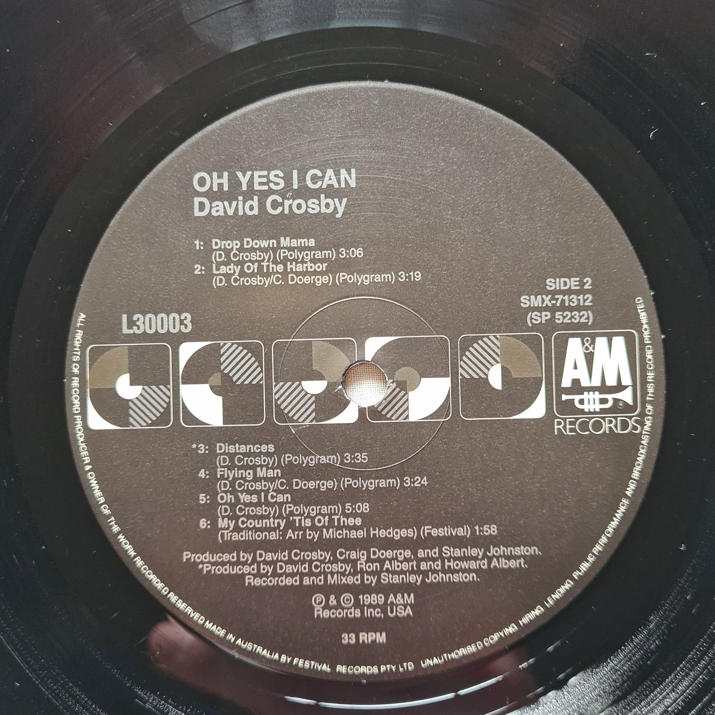 David Crosby – Oh Yes I Can - 1989 - Vinyl Record